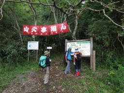桃沢橋の登山口