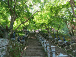 大山寺の紅葉階段