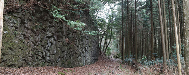 自然の石垣