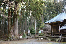 宝蔵院と樹齢400年の大杉