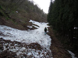 雪で埋まる林道