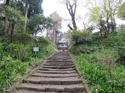 浄智寺の階段