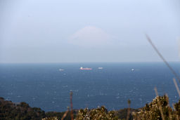 海の向こうに富士山