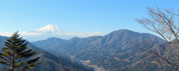 鳥ノ胸山頂からの富士