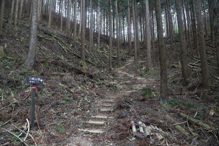 林道が終わり階段