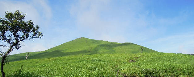 緑で覆われた一目山