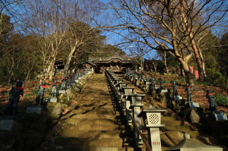 大山寺への階段