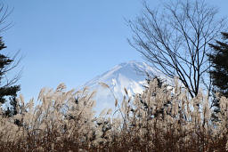 富士の北面は凍っている