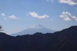 鶴寝山からの富士